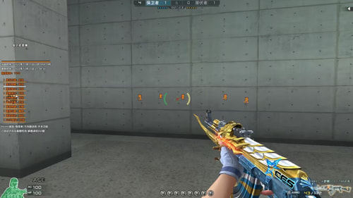 CF河马透视自瞄效果图